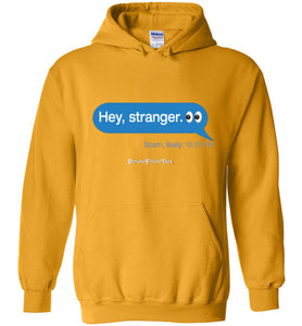 Hey, Stranger; Scam - Hoodie