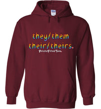 Load image into Gallery viewer, They/Them/Their/Theirs Pride - Hoodie