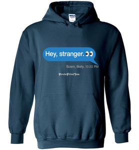 Hey, Stranger; Scam - Hoodie