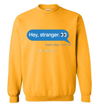 Load image into Gallery viewer, Hey, Stranger; Scam - Crewneck